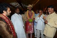 Balakrishna Daughter Tejaswini Wedding Photos